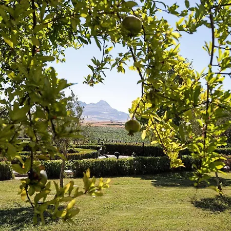 Farm stay Tenute Pollara