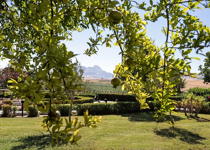 Tenute Pollara Farm stay *