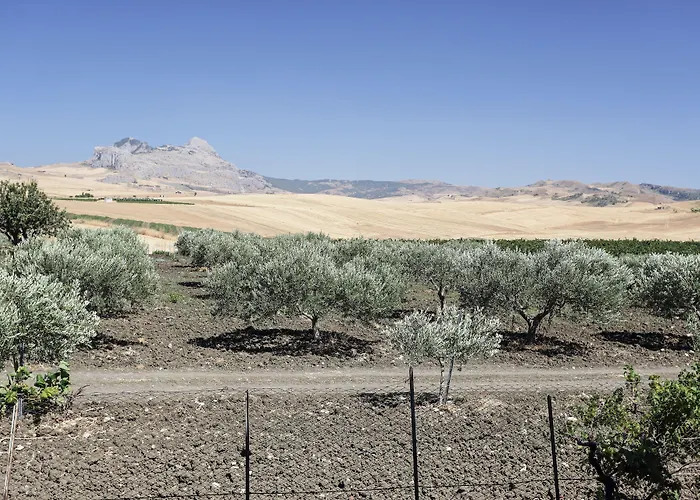 Tenute Pollara Farm stay Roccamena